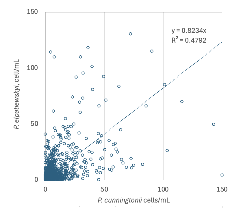 Parvodinium cunningtonii (Lemmermann) Pandeirada et al 2022 — figure 2 (from source)