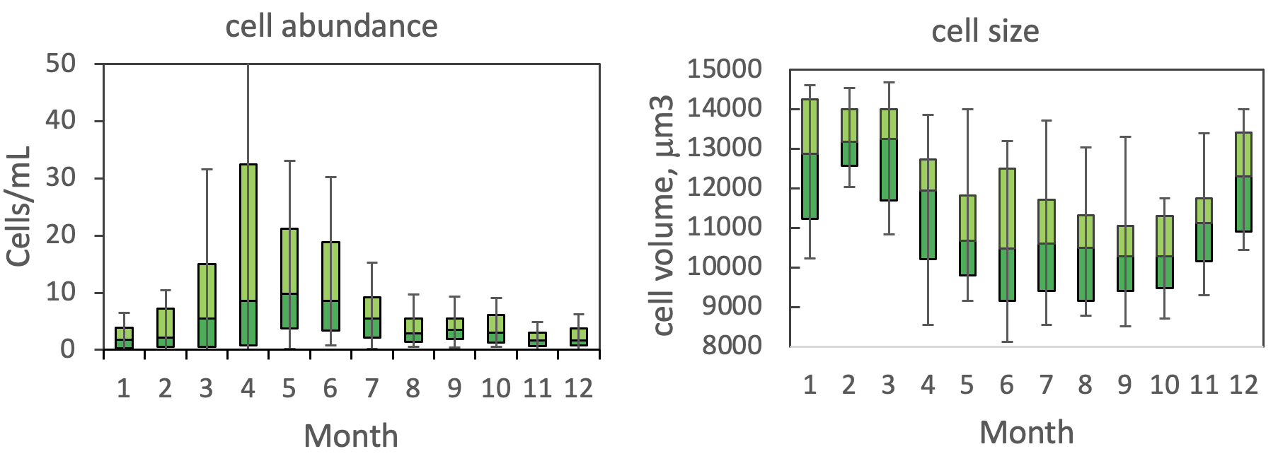 Parvodinium elpatiewskyi Ostenfeld) Kretschmann et al 2019 — figure 3 (from source)